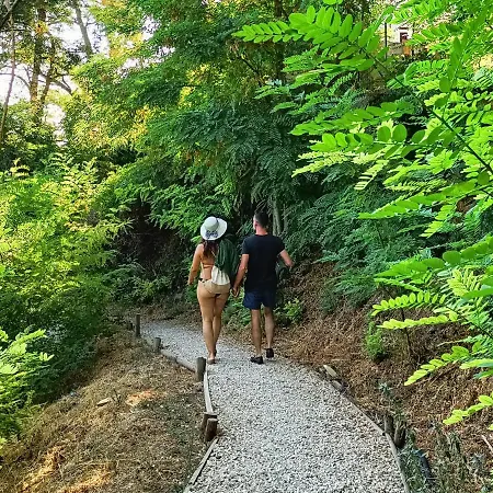 Bed & Breakfast Tuffudesu