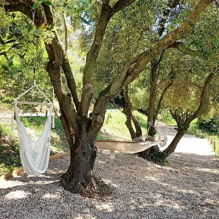 Tuffudesu Bed & Breakfast