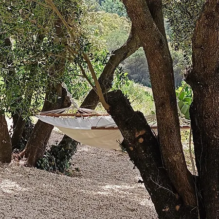 Tuffudesu Bed & Breakfast