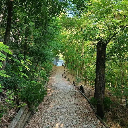 Bed & Breakfast Tuffudesu