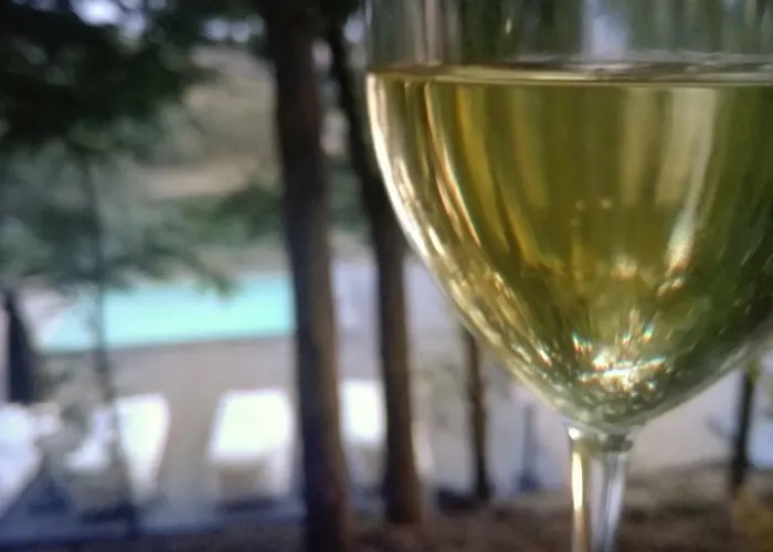 Bed and Breakfast Tuffudesu Experience (adults Only) Osilo