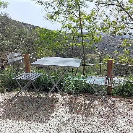 Couette-café Tuffudesu Experience (adults Only)